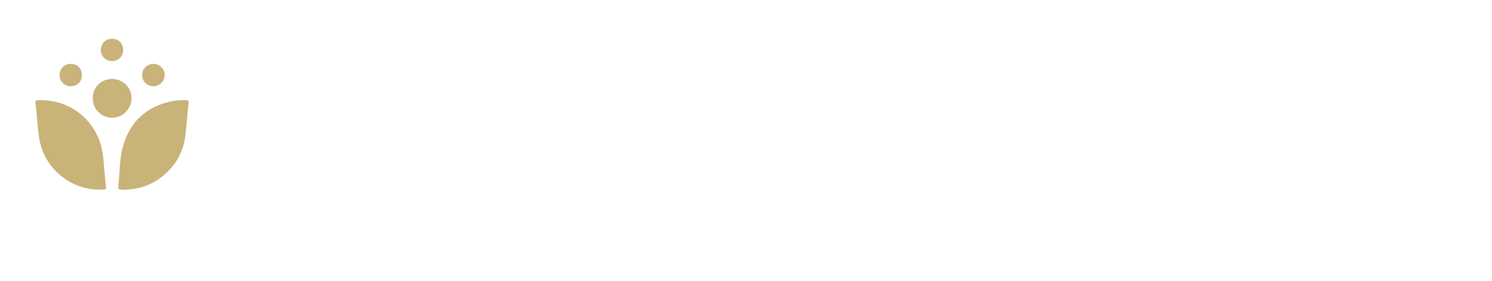 HolisticMK